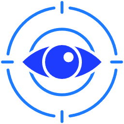 vision